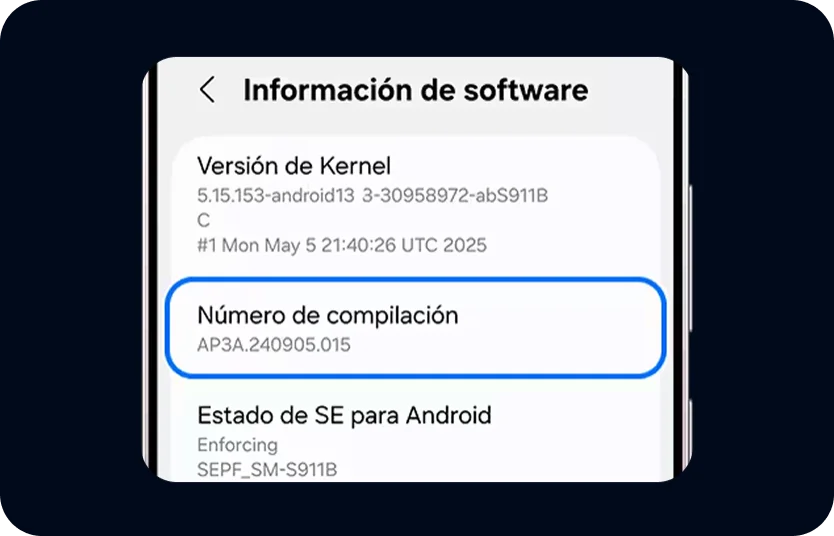 Habilitar modo desarrollador