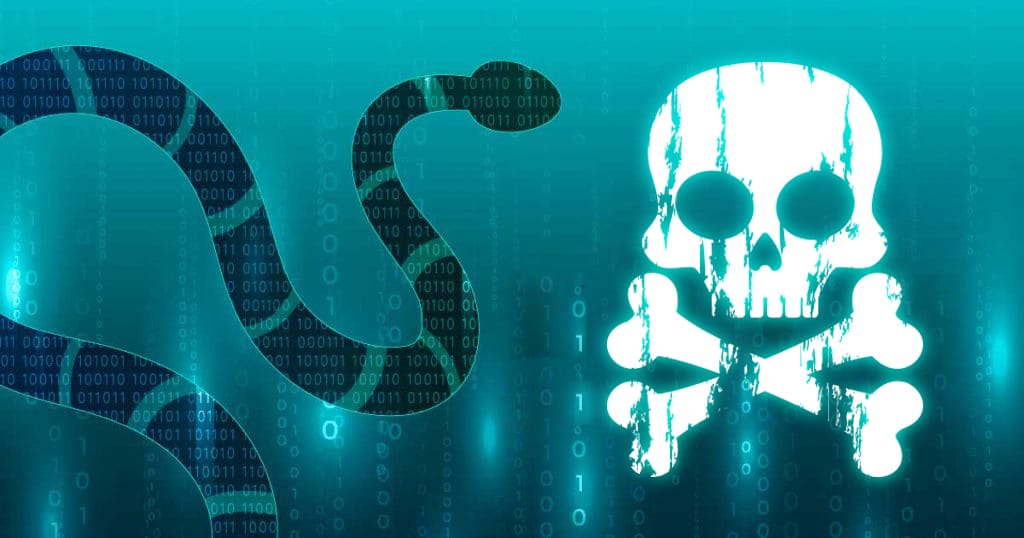 Snake the virus that terrorized 2021 encriptados